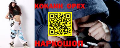 молекула духа Кингисепп