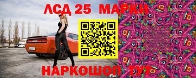 индика Кандалакша