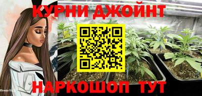 молекула духа Кингисепп