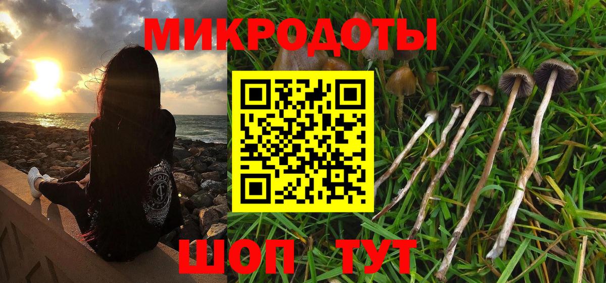 Коммунар  Галлюциногенные грибы мухоморы  Вход с VPN  Псилоцибиновые грибы MAGIC MUSHROOMS 