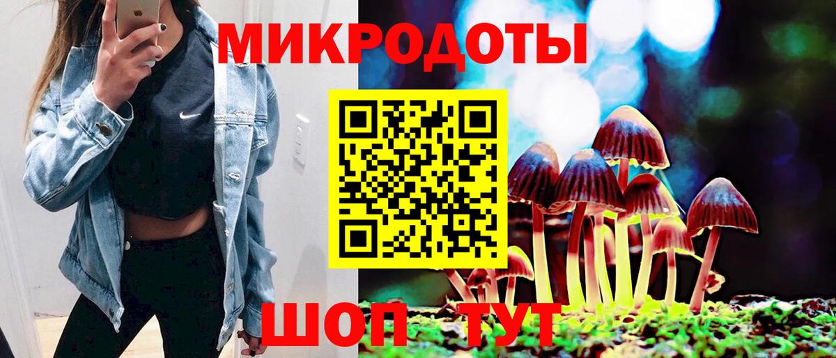 Псилоцибиновые грибы Cubensis Коммунар